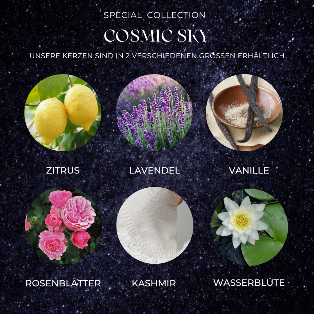 Cosmic Sky