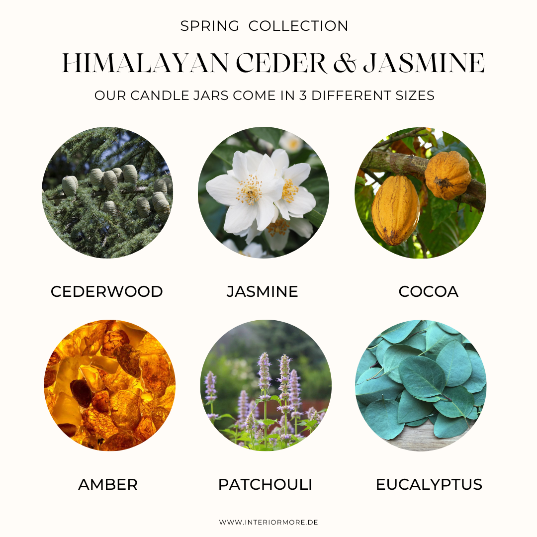 Himalaya Zeder & Jasmin