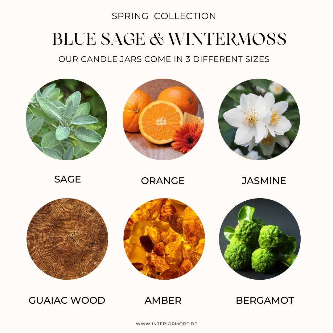 Blauer Salbei & Wintermoos